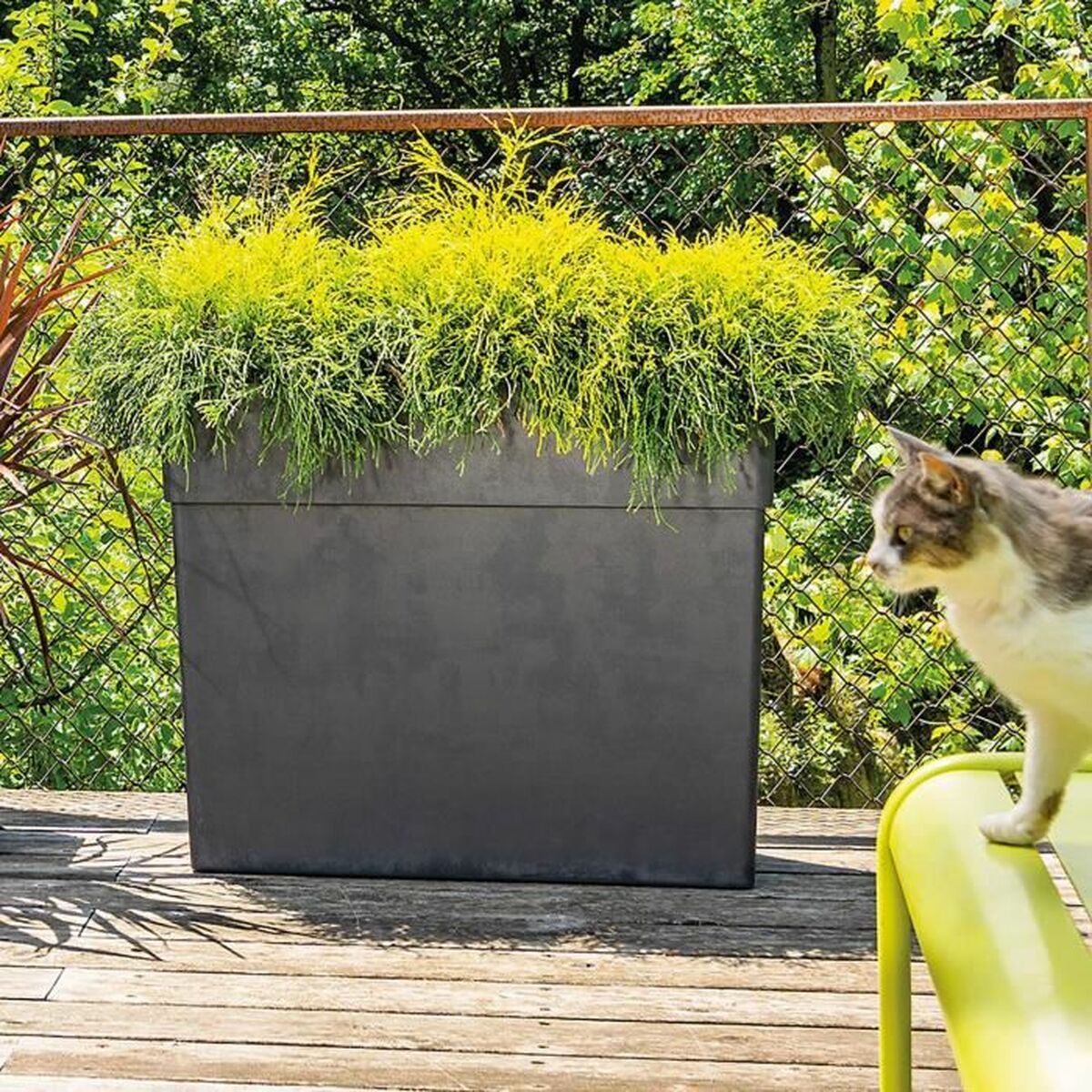 V6H282746926C0FCCB717044C1005A0F9ADR3440747P2