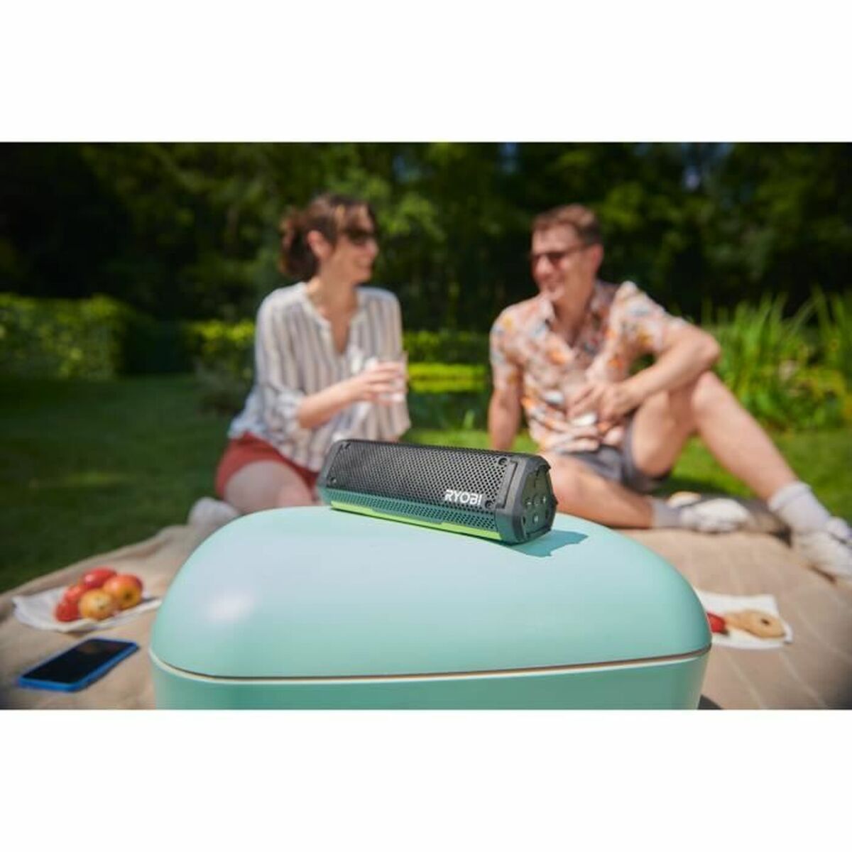 V2HE28441A31523D2CA27086786F8509B1FR6788615P2