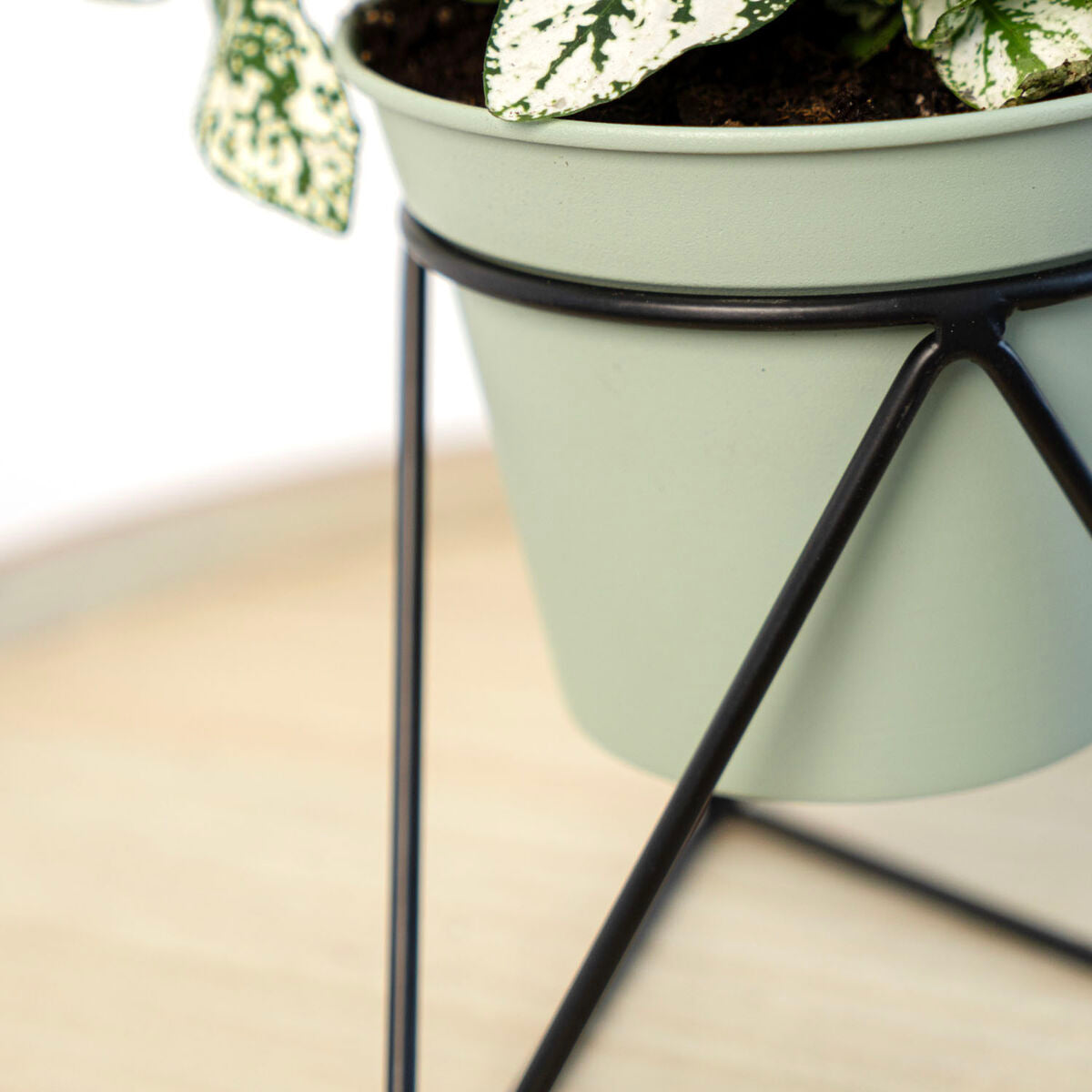 V4H2E53E67B4164C42D5E174130D2E24B14R5315048P6