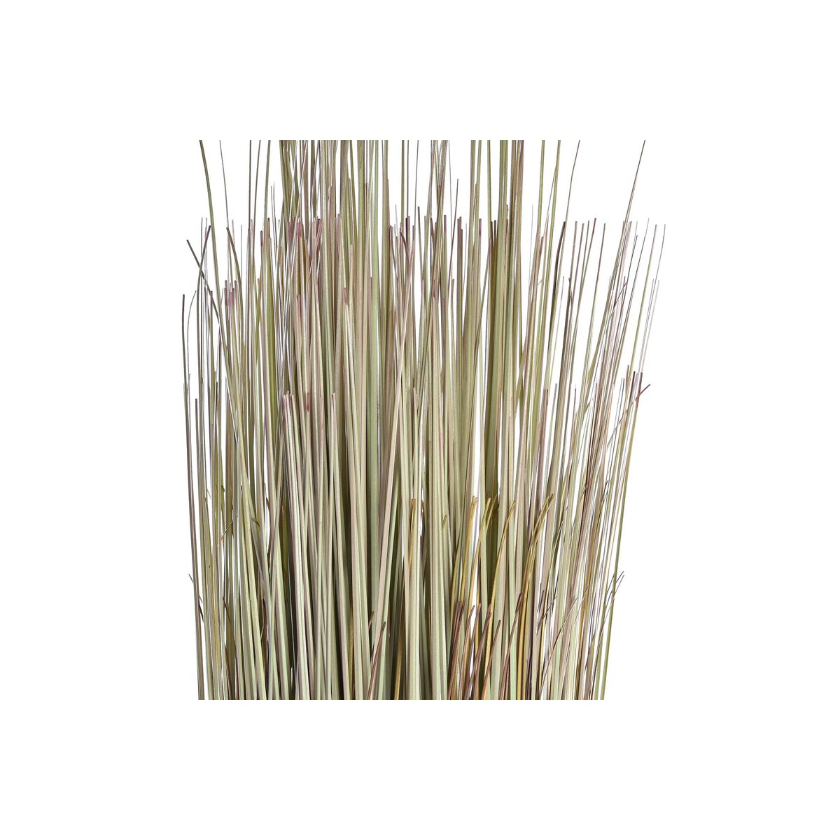 V11H19CD79C0C6FF955D1B78CA4874F9D464R6374948P2