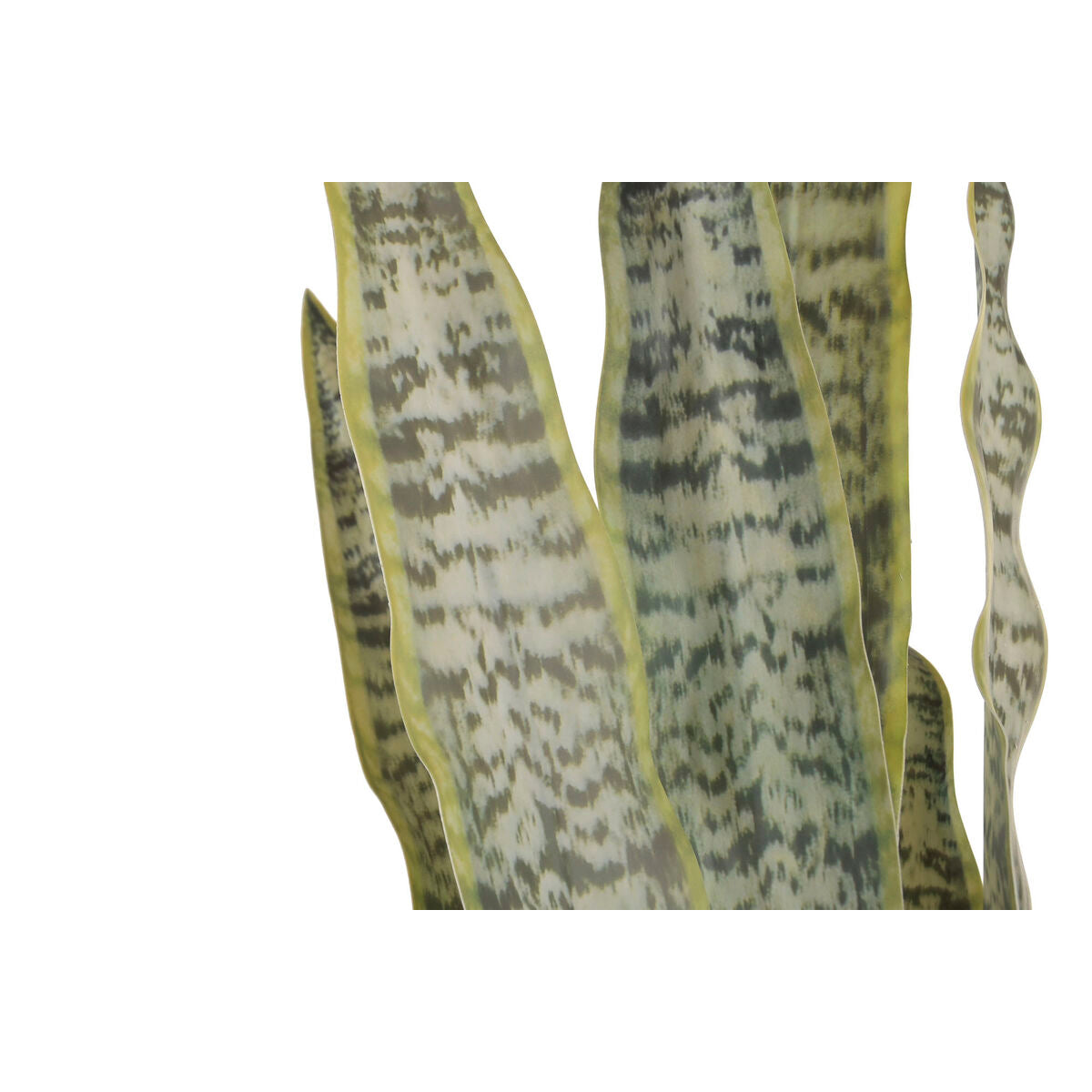 V2H4A2AF03675099B14F983E19029393B32R7521809P4