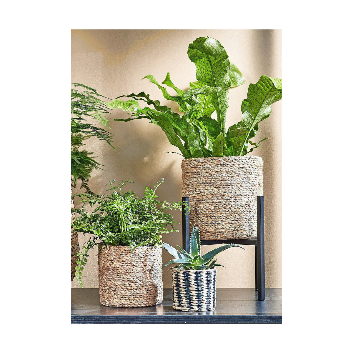 V7H430E0739ED5548985B4CA4EA5940AB3FR2068246P7