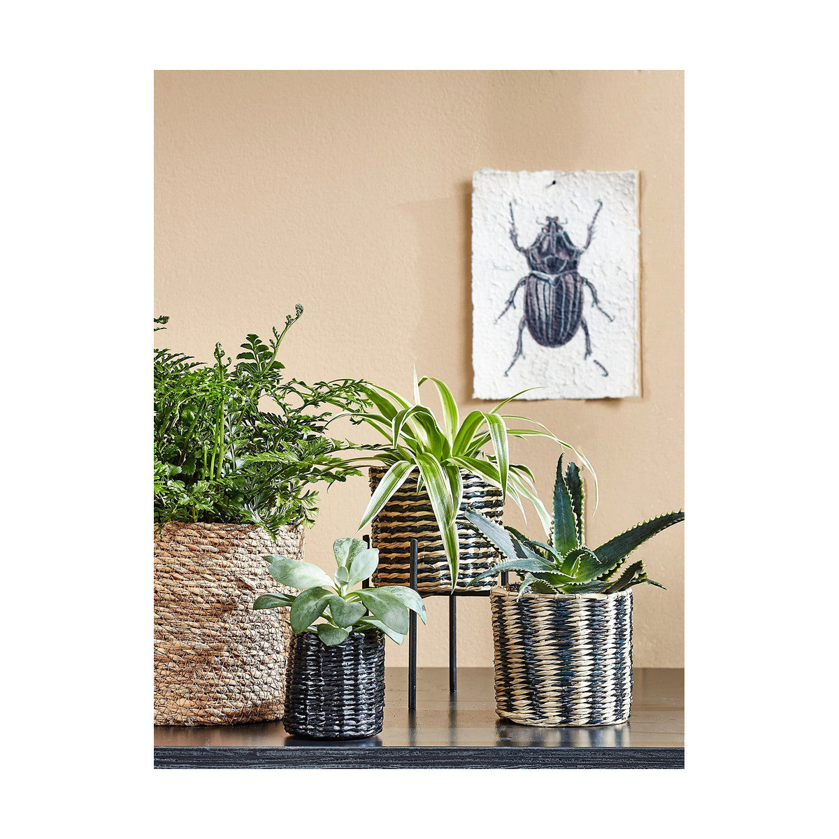 V7H43CF9BFD1FEA2D9CFF8DFAACBFDF55ACR2068247P8