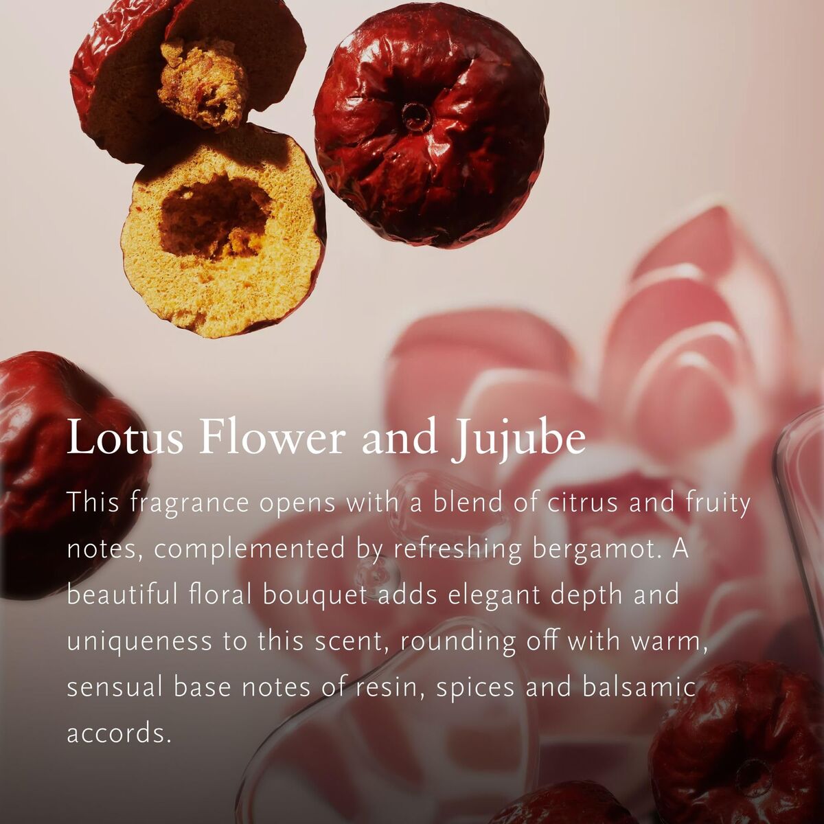 V2H96F01042E4D94E9A8E2F278DD4AA4BD0R7420674P4