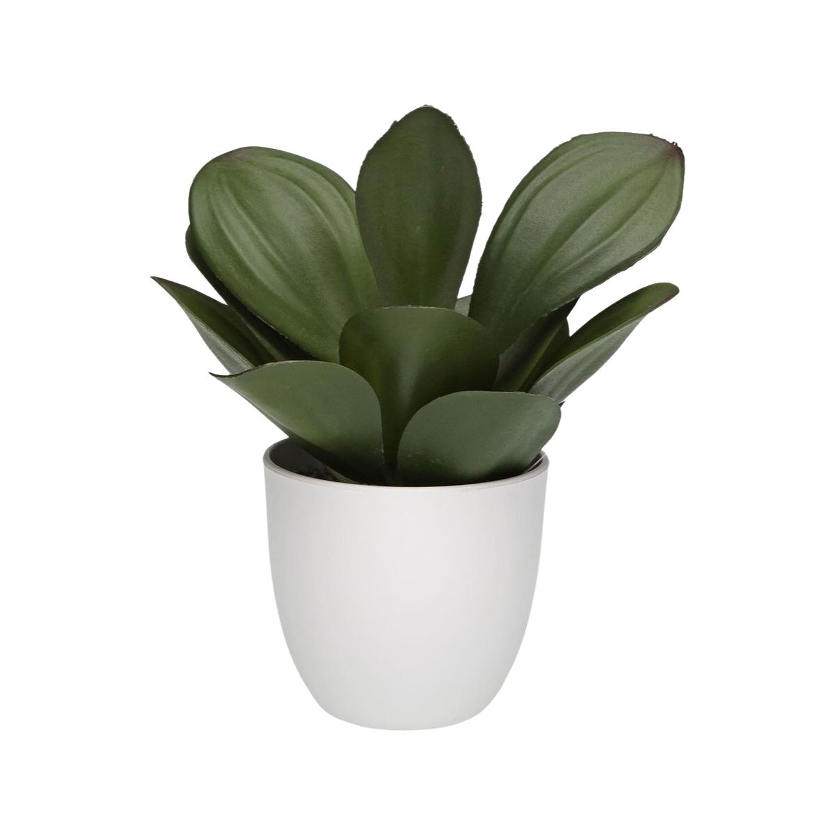 V2H6929714C8E0F40EDA7BE893C070A96AAR6831691P2