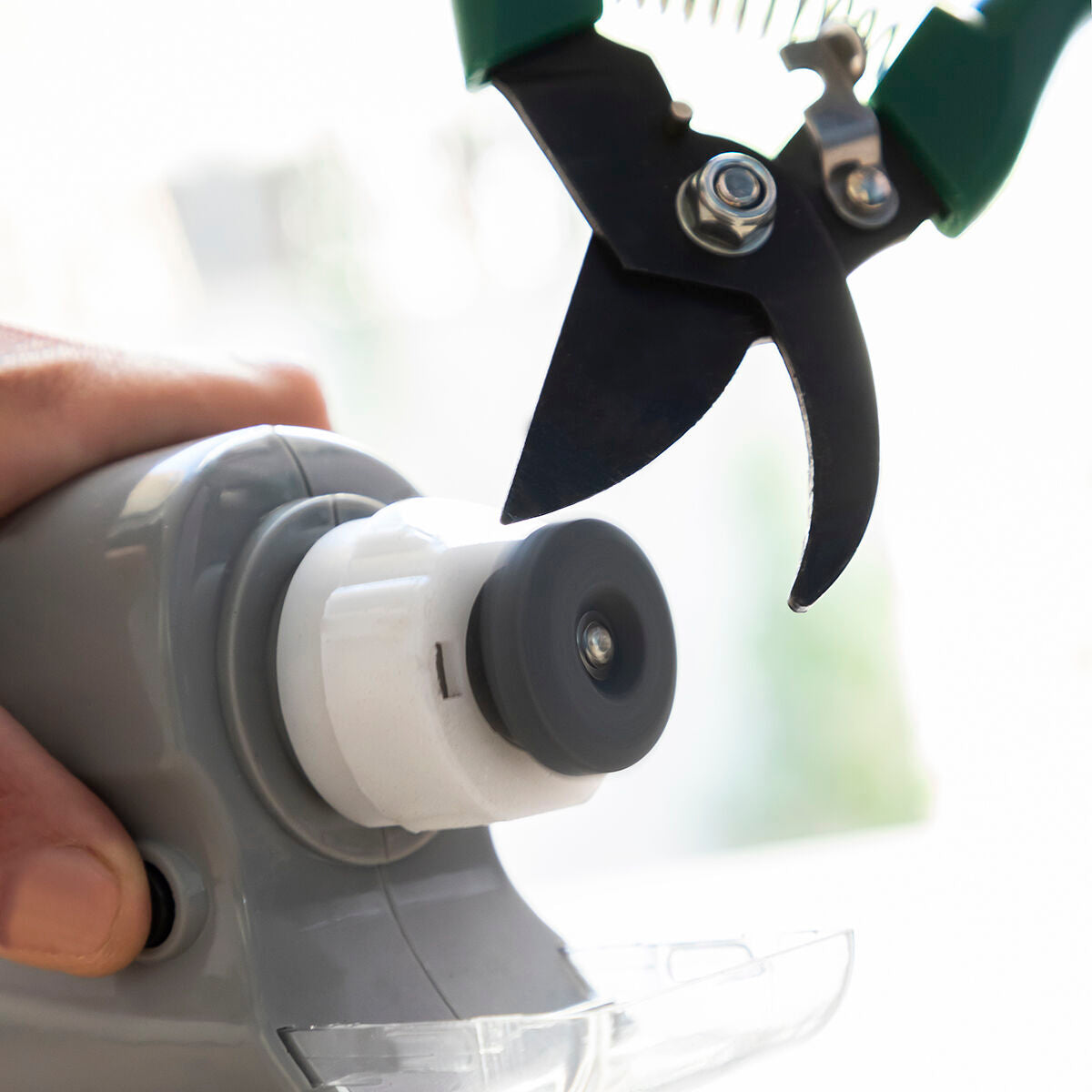 V12HCCE91DA1FD7936FECBA8DD6BD7581FA1R5264772P6